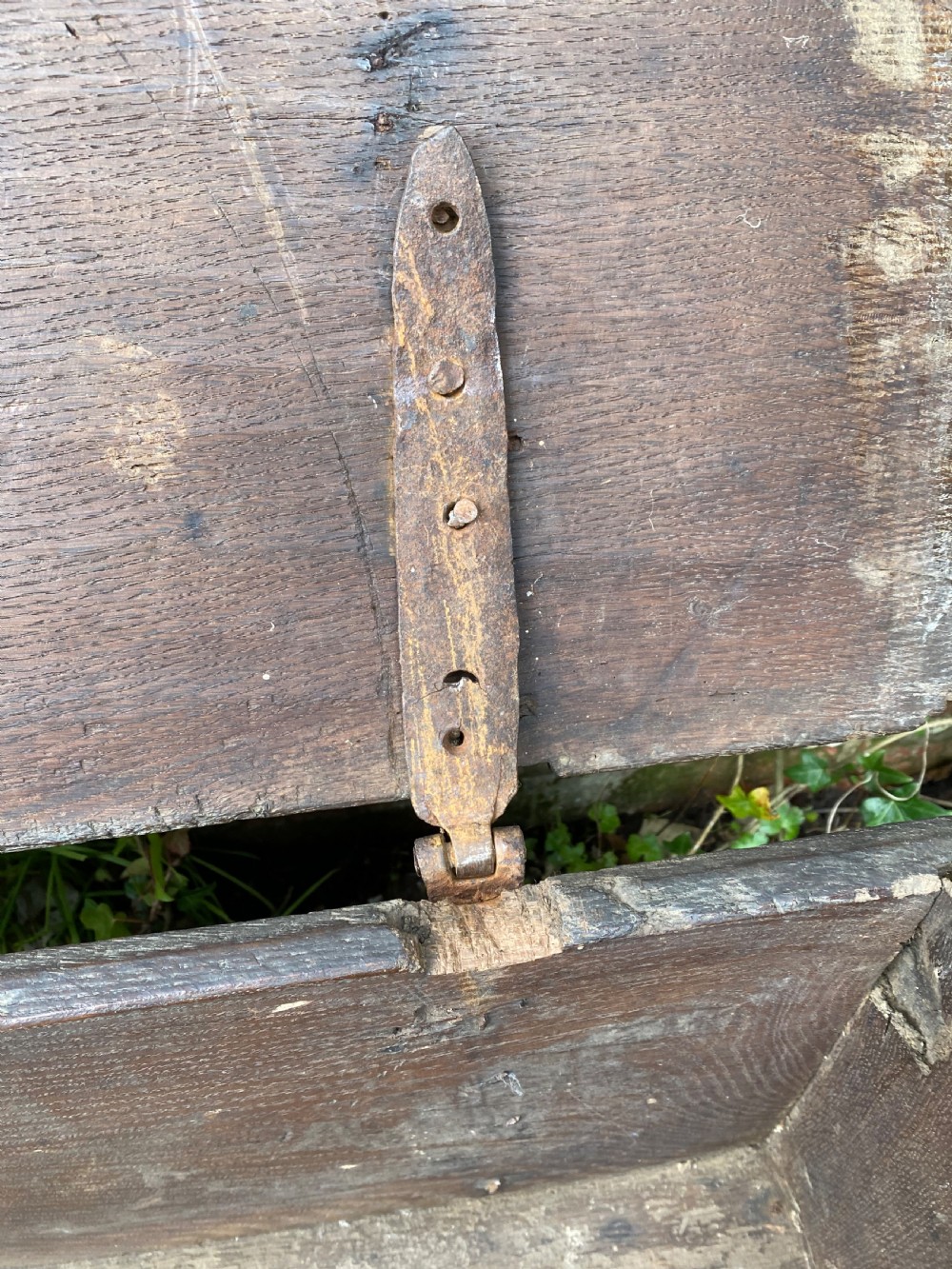 Early Oak Coffer View XIX
