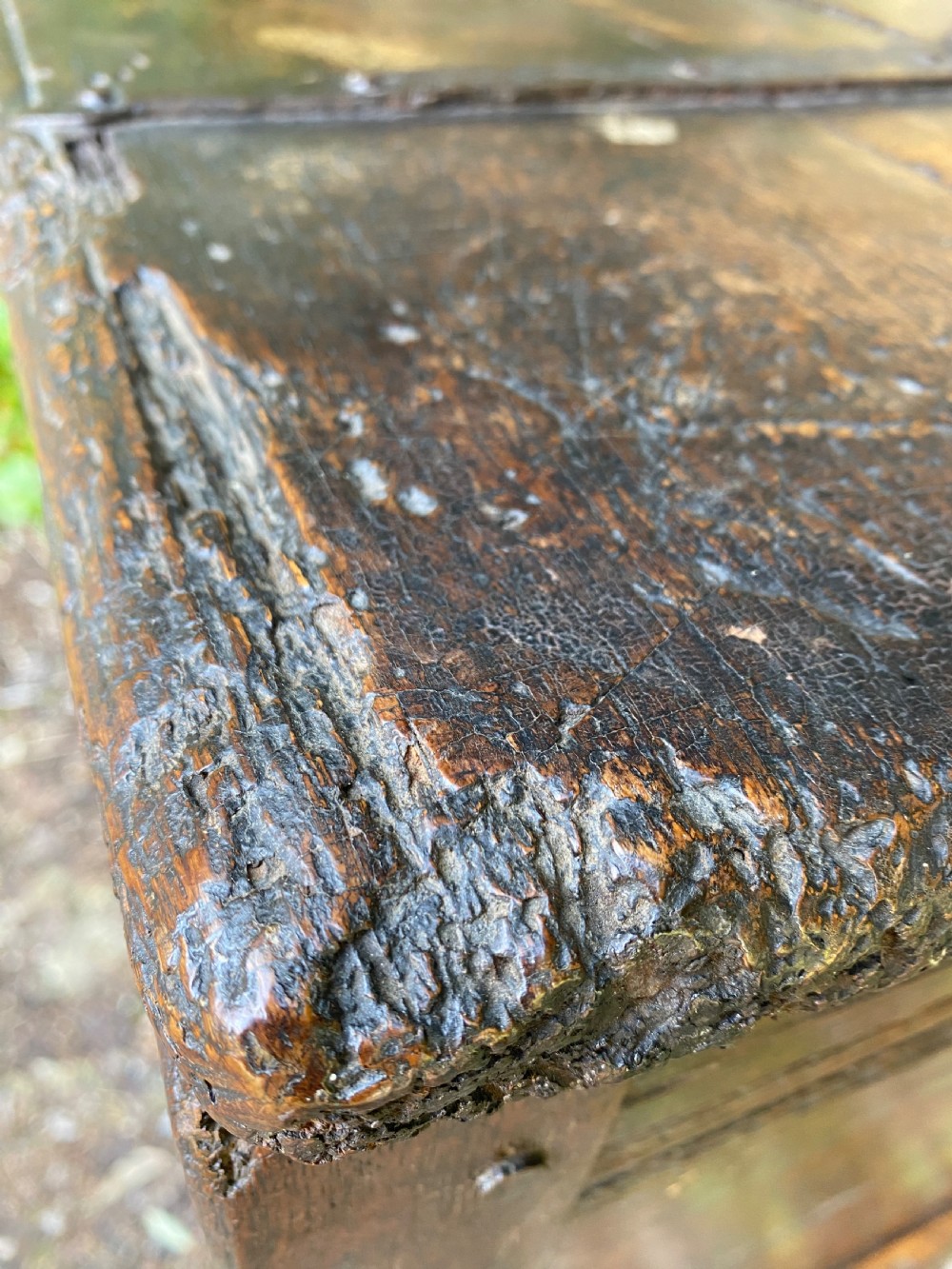 Early Oak Coffer View XV