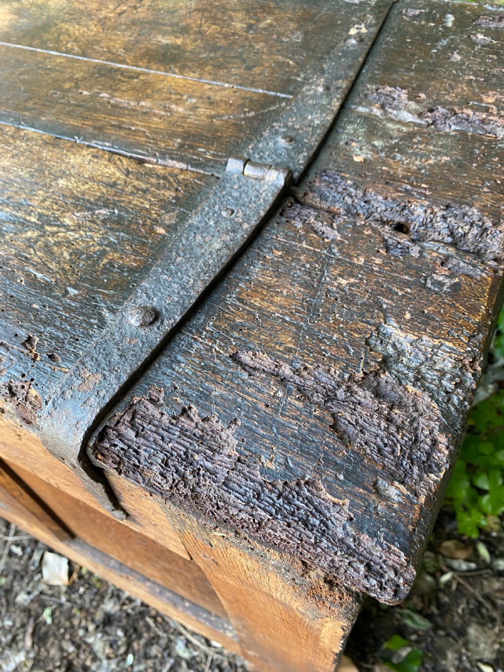 Early Oak Coffer View XVI