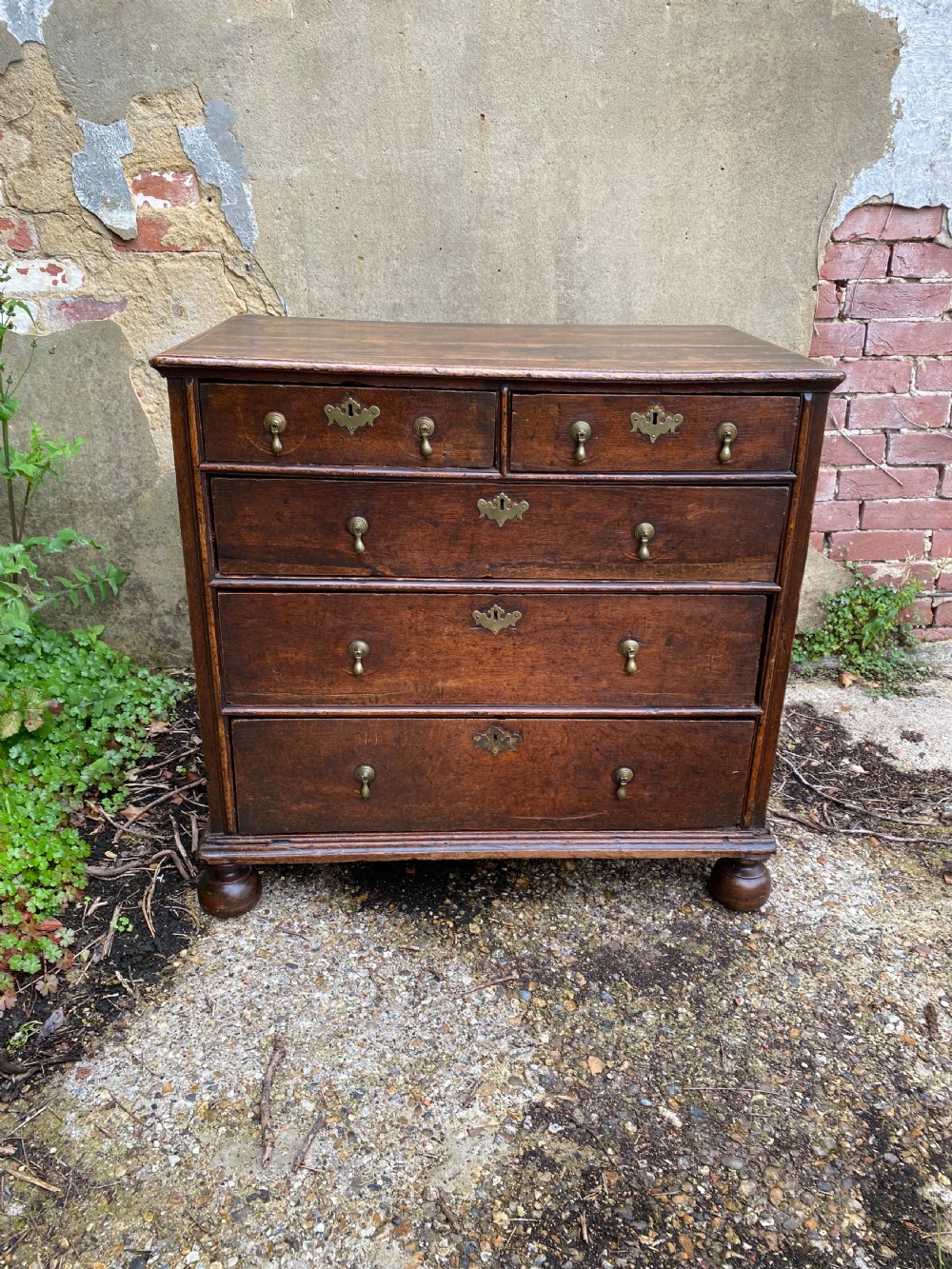 Early Oak Chest of Drawers  View III