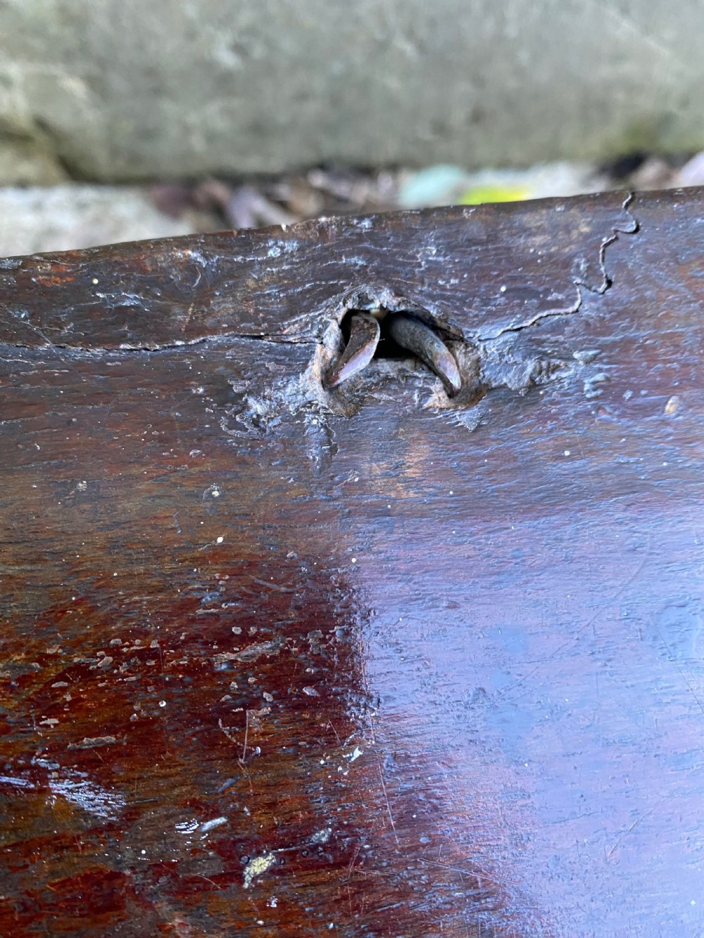 Early Oak Coffer View XIII