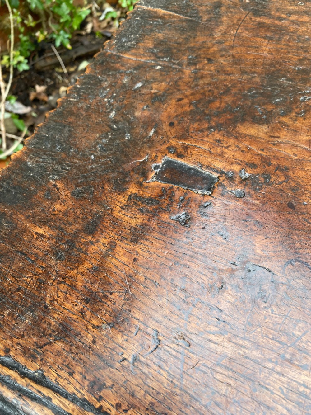 Early Oak Sword Chest View XV