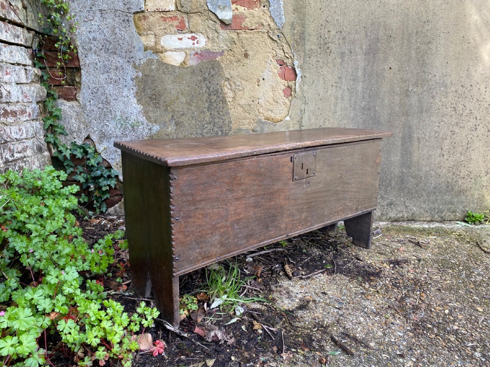 An Early Oak Plank Coffer View XIX
