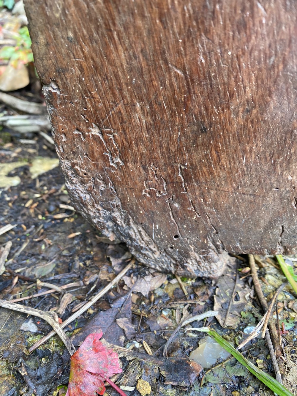 An Early Oak Plank Coffer View XXIII