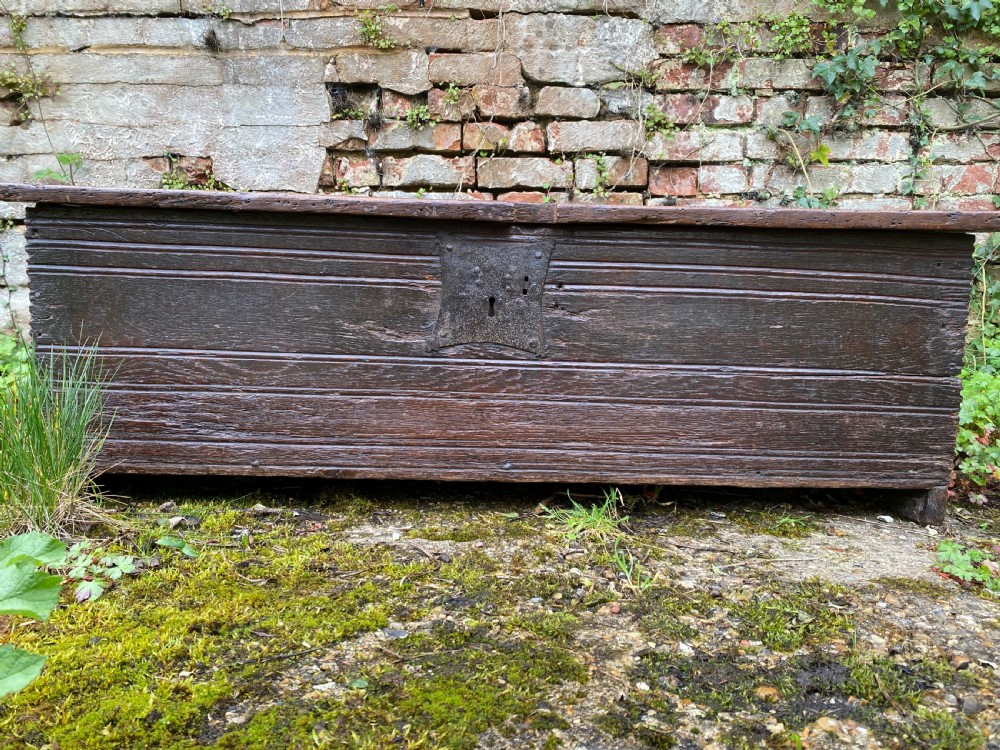 Very Early Oak Plank Coffer View V