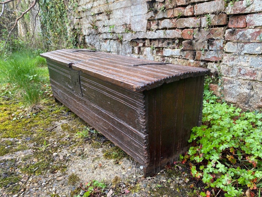 Very Early Oak Plank Coffer View VIII