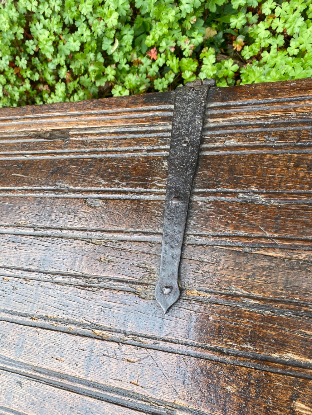 Very Early Oak Plank Coffer View XI