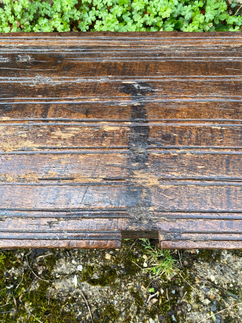 Very Early Oak Plank Coffer View XII