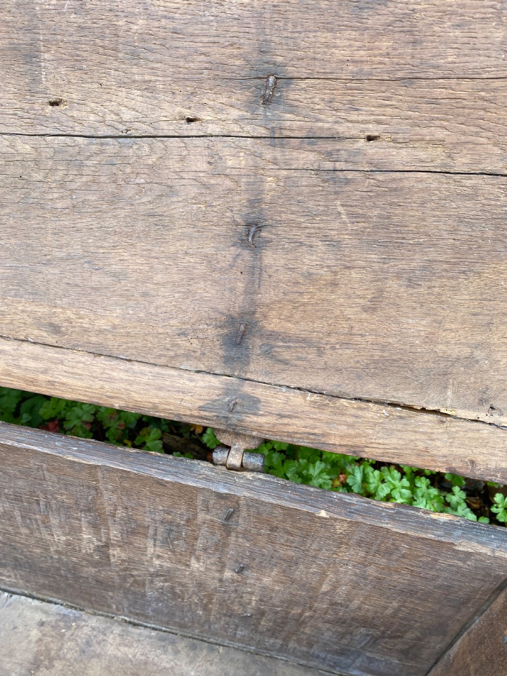 Very Early Oak Plank Coffer View XIX