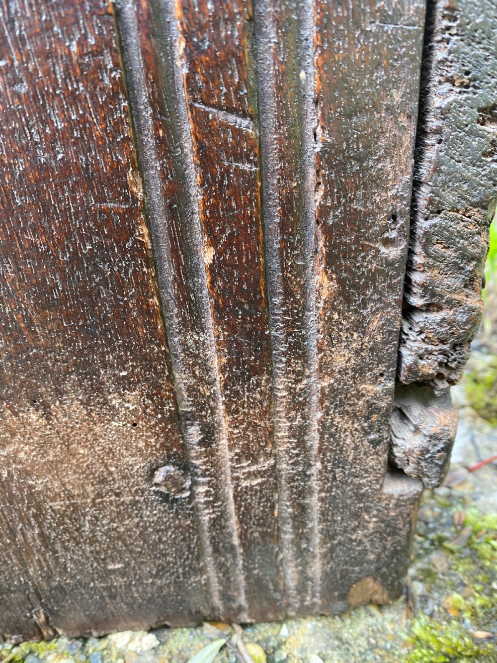 Very Early Oak Plank Coffer View XXIII