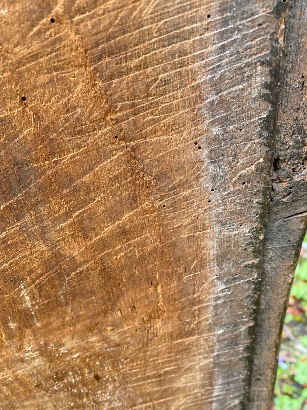 Very Early Oak Plank Coffer View XXVIII