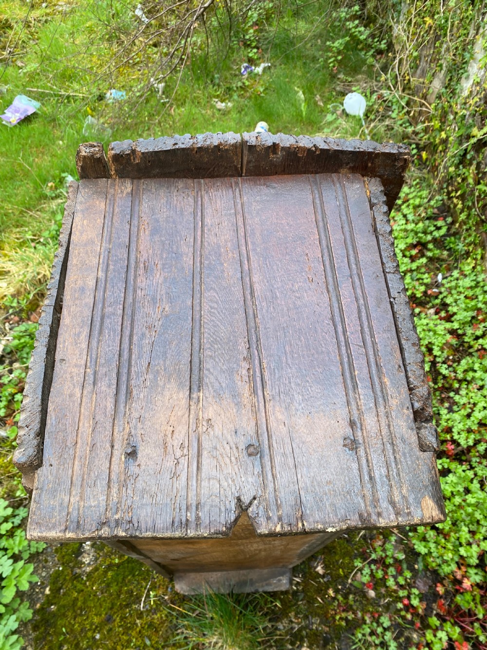 Very Early Oak Plank Coffer View XXX