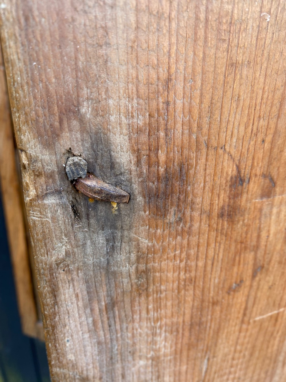 Early Pine Wall Cupboard  View XV