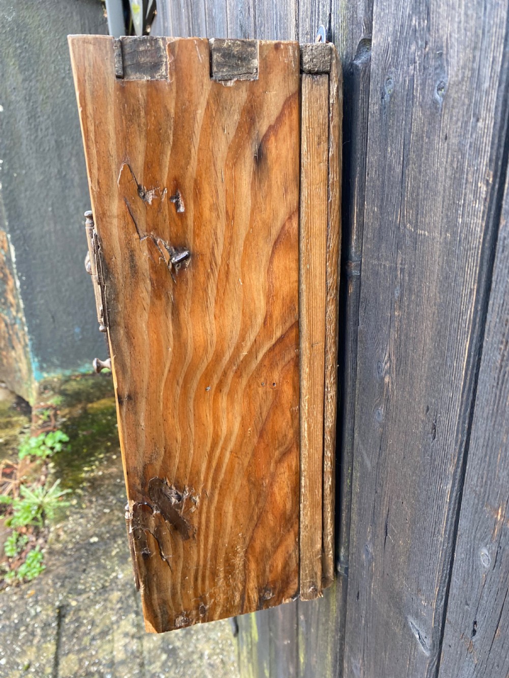Early Pine Wall Cupboard  View XVII