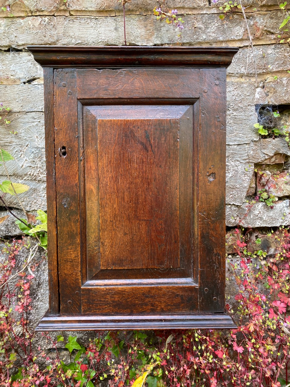 An Early Oak Spice wall Cupboard  View III