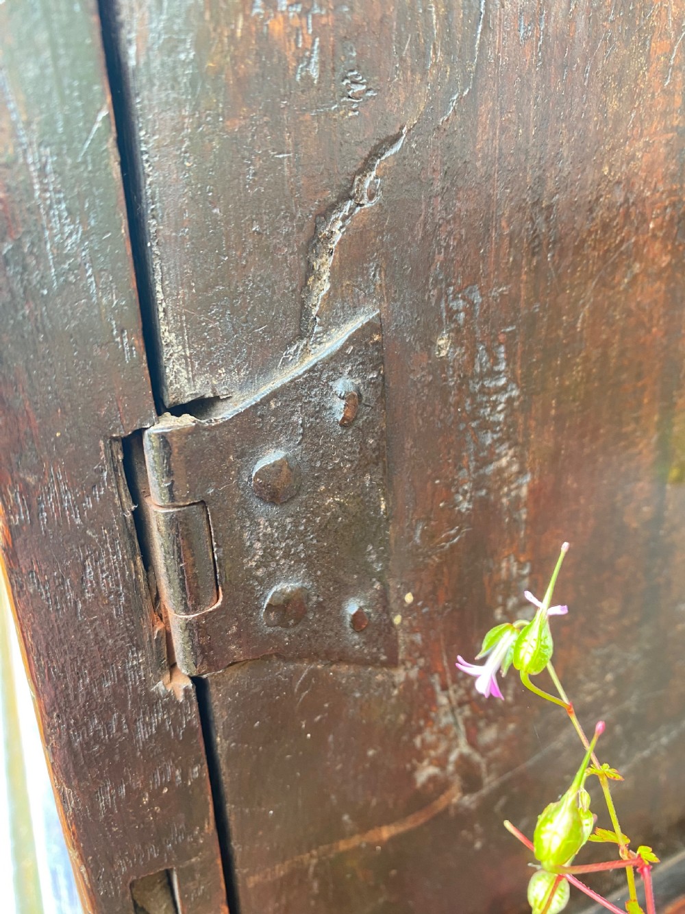 An Early Oak Spice wall Cupboard  View XIII