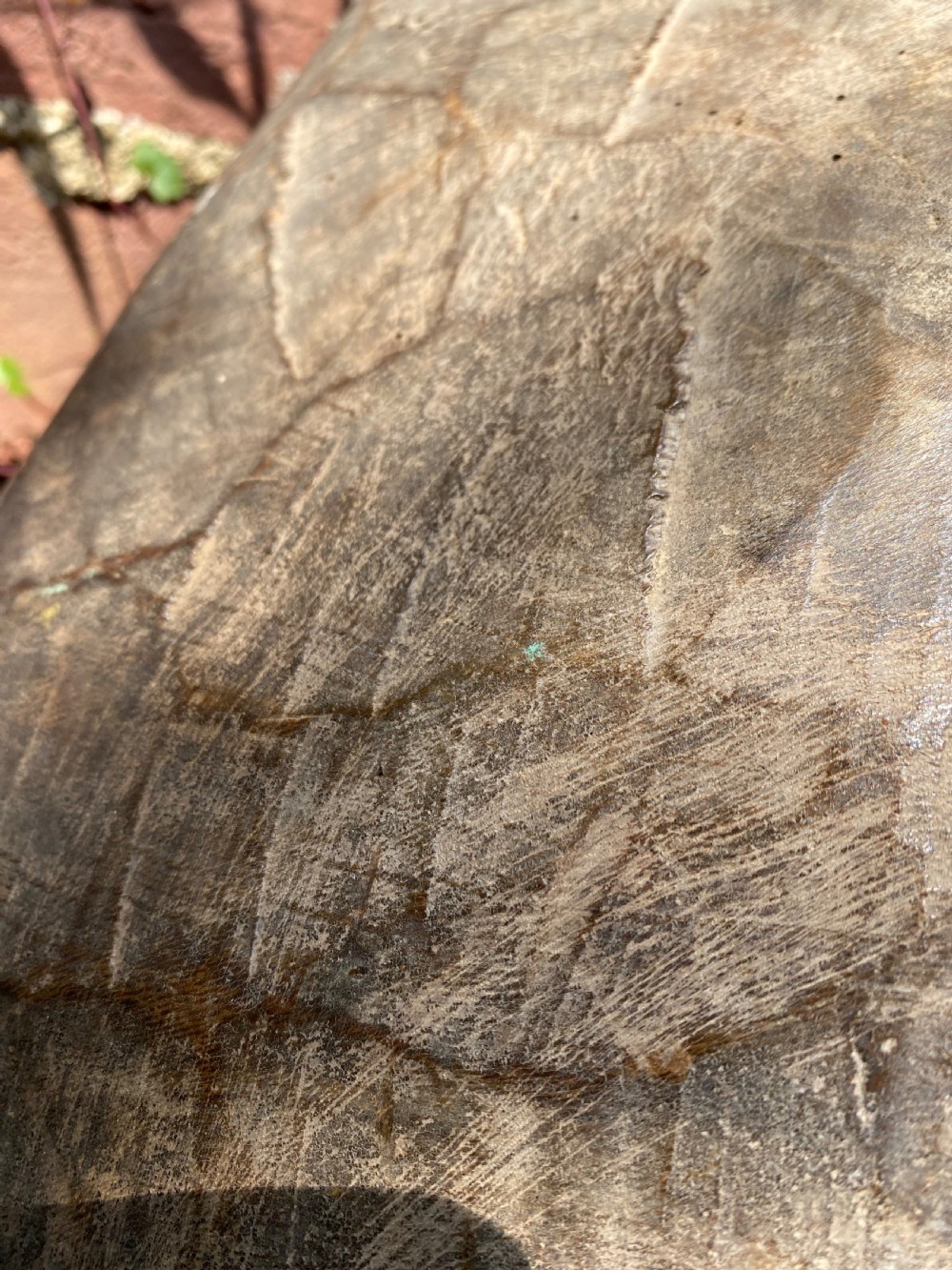 Hand Hewn Wooden Bowl View VI