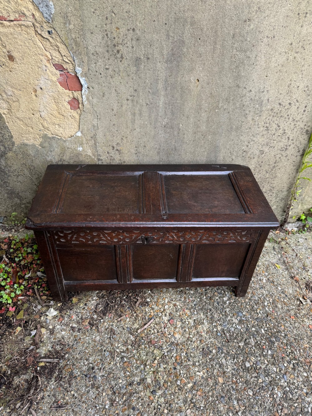 A small dark oak coffer featuring a carved top frieze, a three-panel front, and a central iron escutcheon. View VII