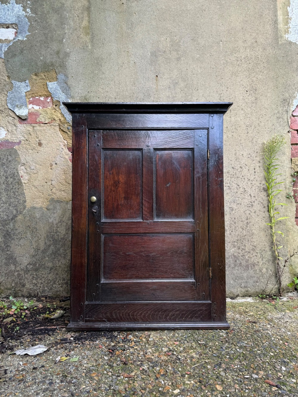 Antique Oak Cupboard 