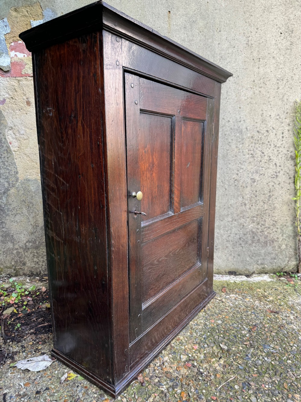 Antique Oak Cupboard  View IV