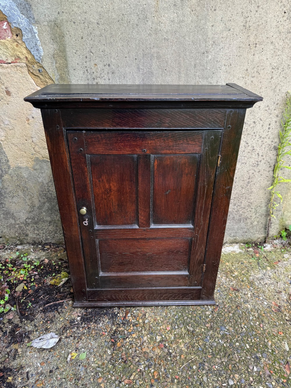 Antique Oak Cupboard  View VI