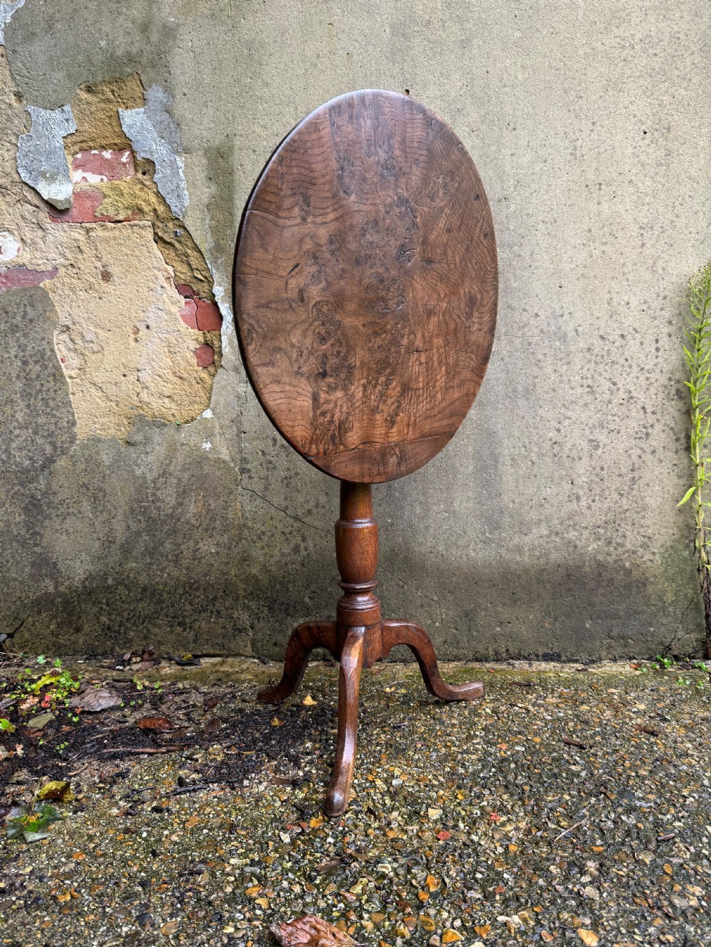 Antique Burr Oak Table