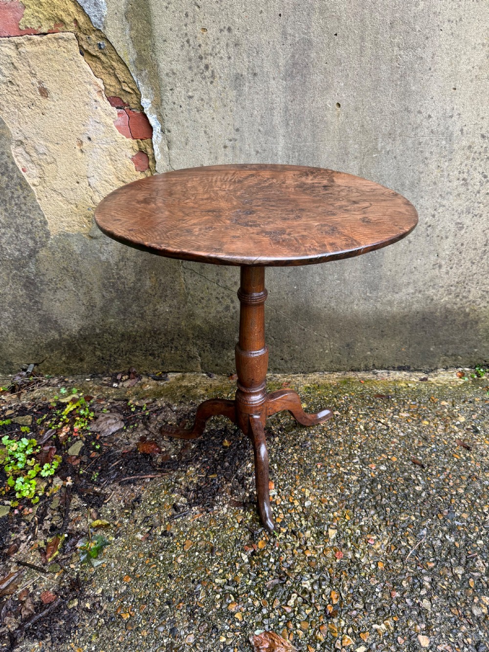 Antique Burr Oak Table View II