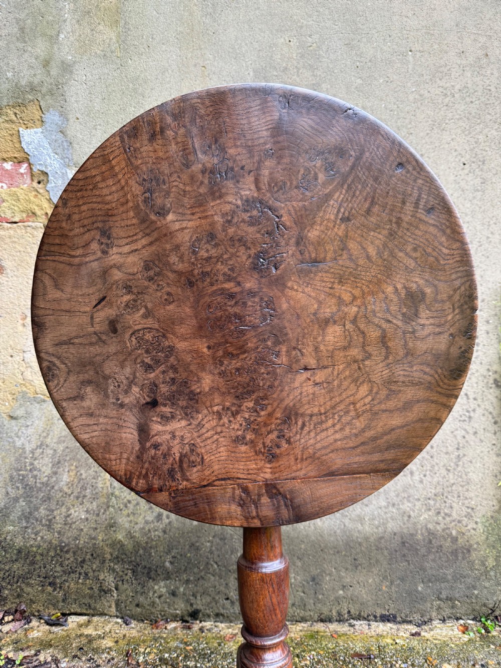 Antique Burr Oak Table View VI