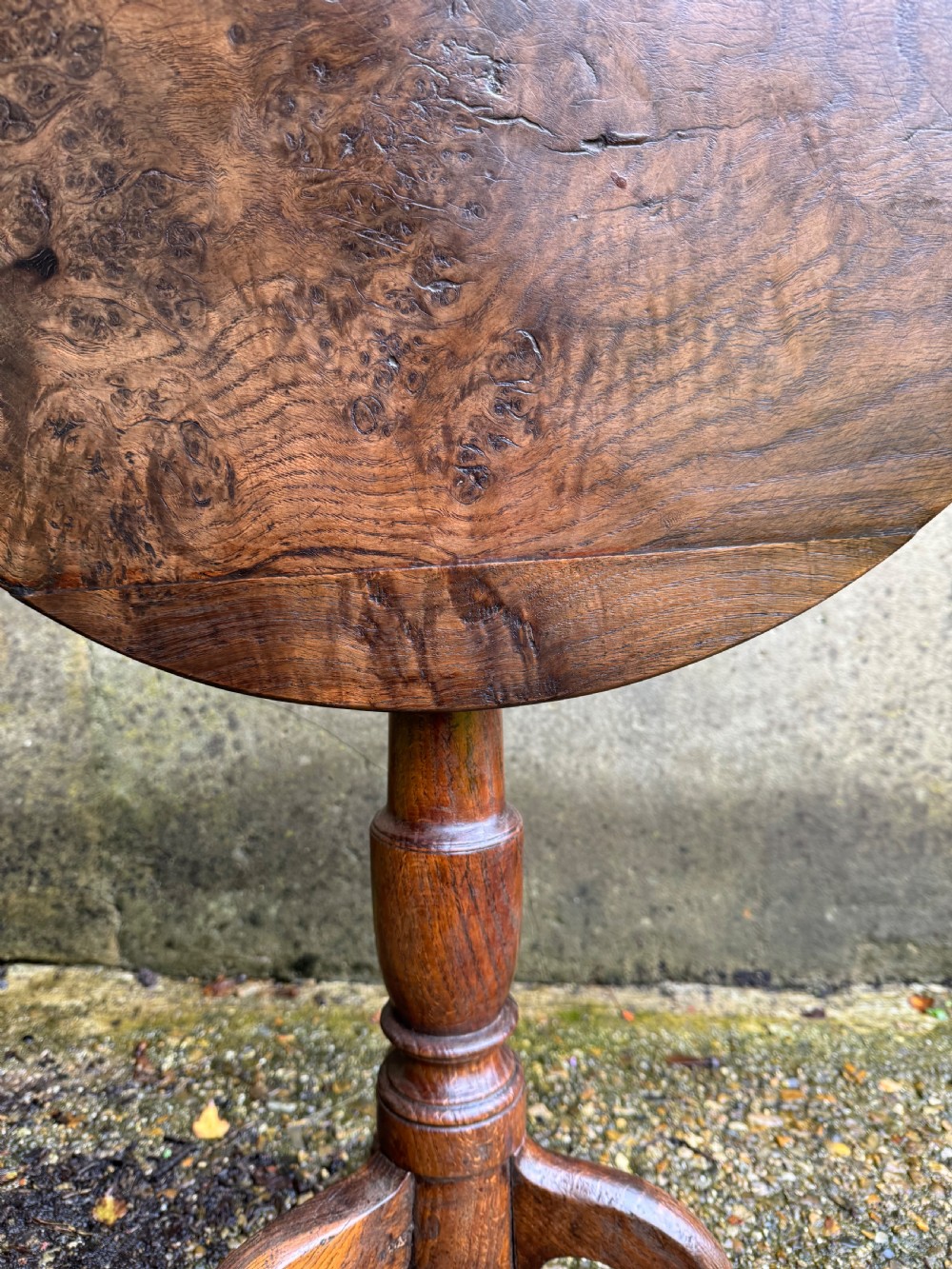 Antique Burr Oak Table View VIII