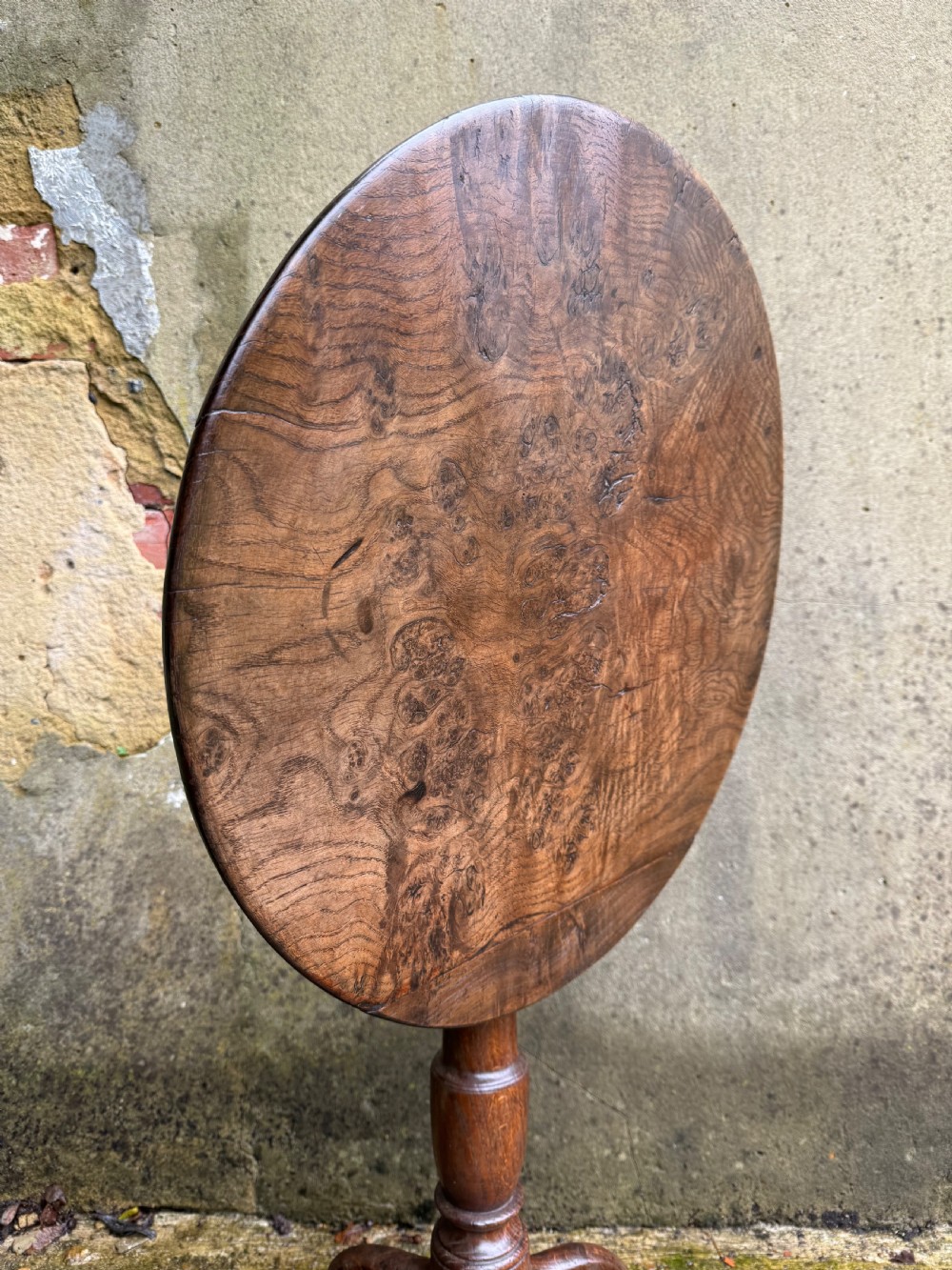Antique Burr Oak Table View IX