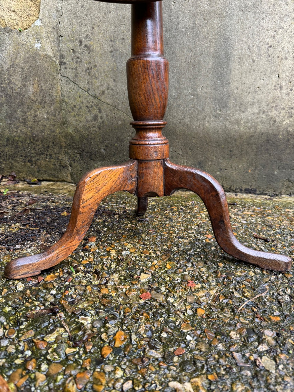 Antique Burr Oak Table View X