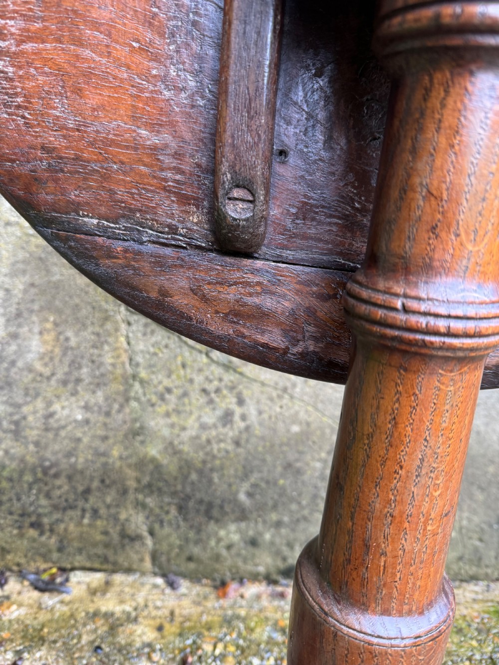 Antique Burr Oak Table View XV