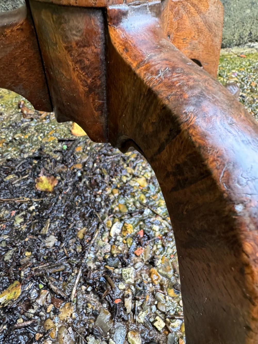 Antique Burr Oak Table View XVIII