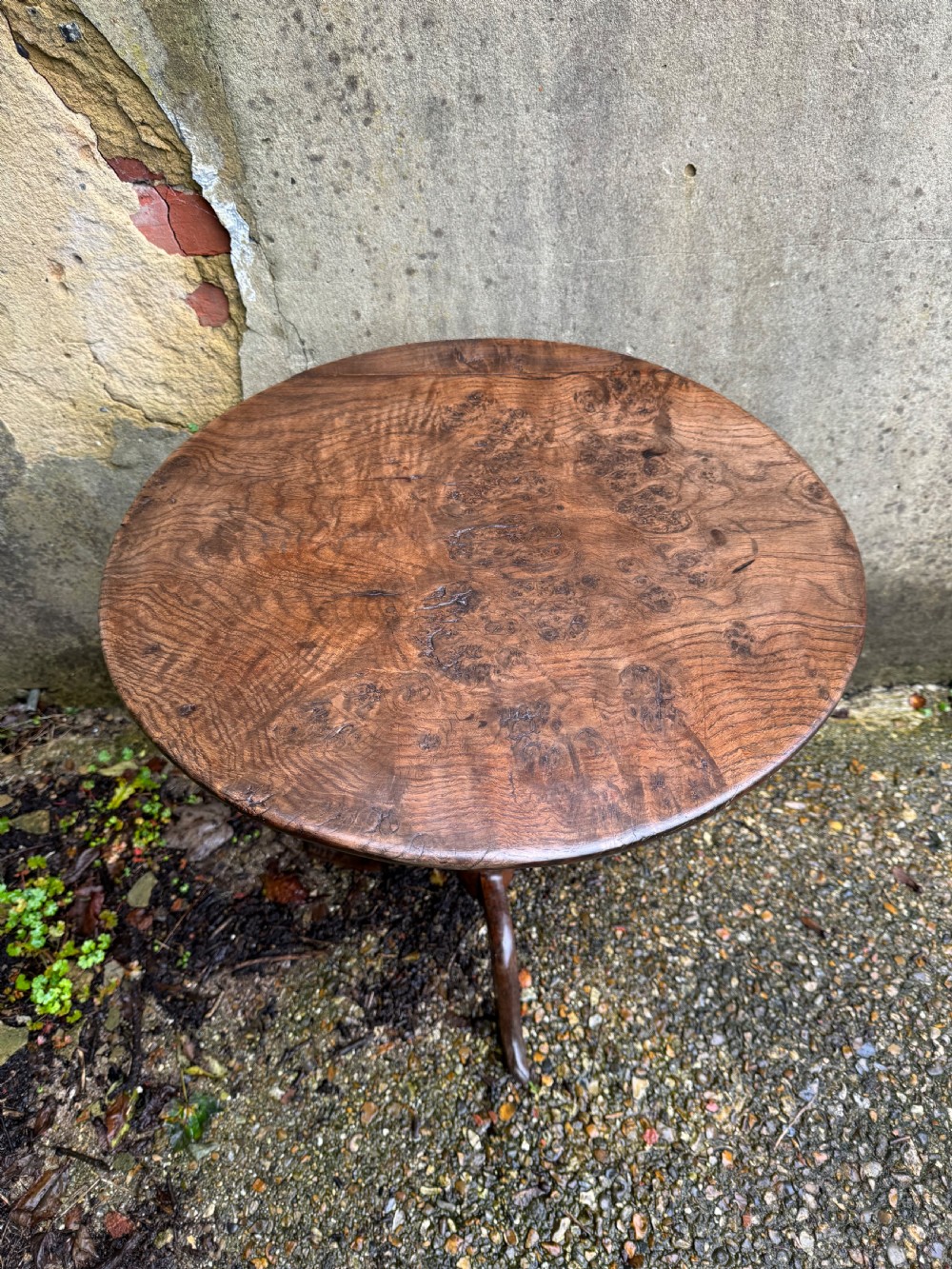 Antique Burr Oak Table View XIX