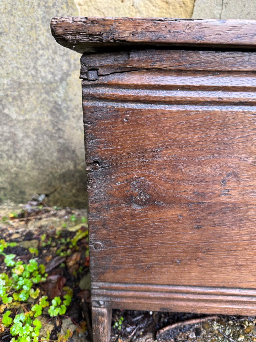 Early Oak Plank Coffer  View VI