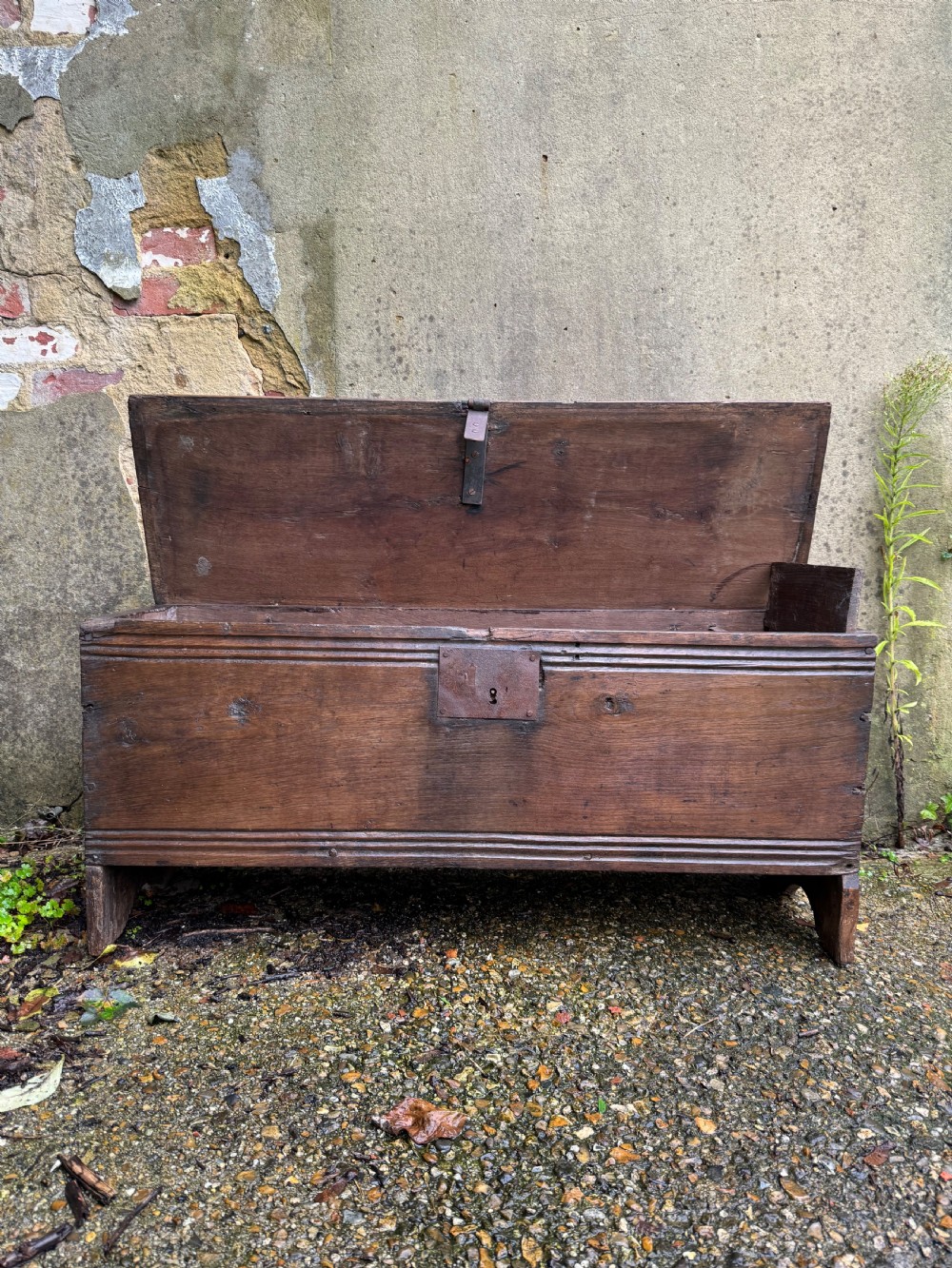 Early Oak Plank Coffer  View XI