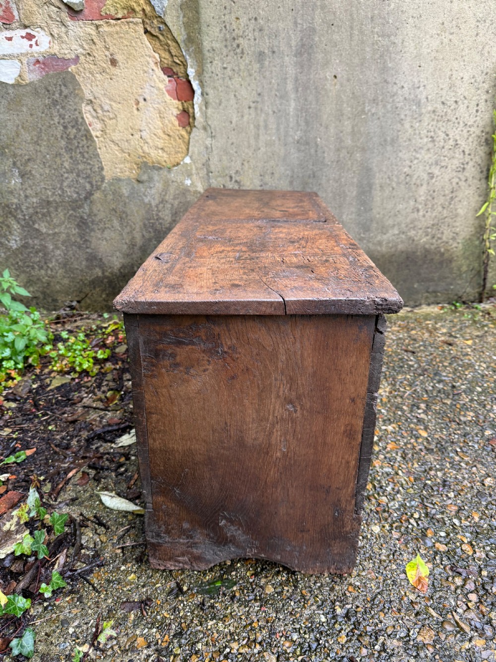 Early Oak Plank Coffer  View XIX