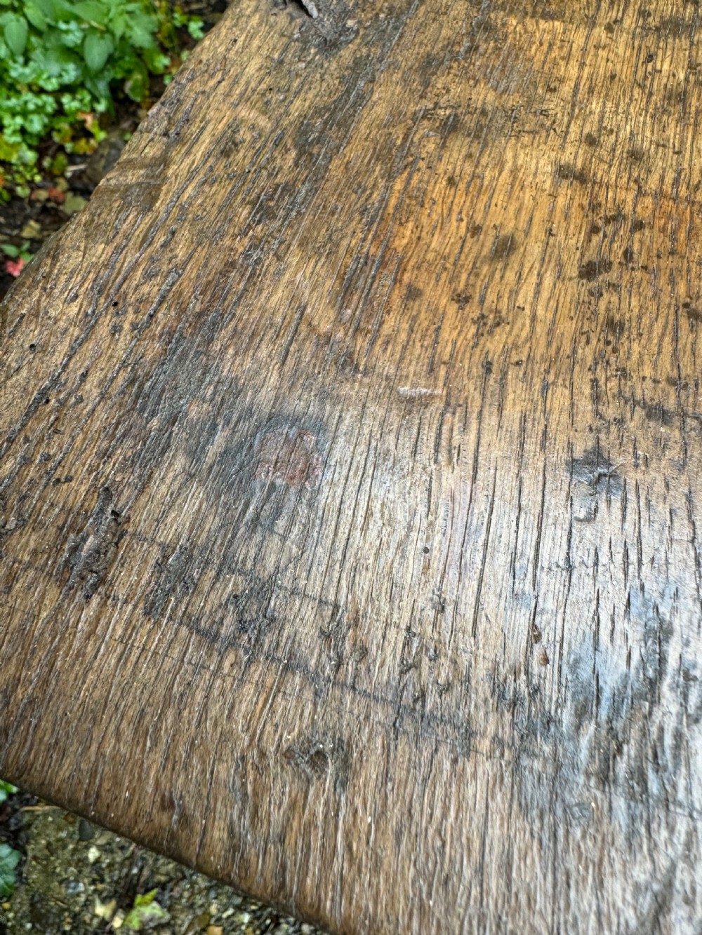Early Oak Plank Coffer  View XX