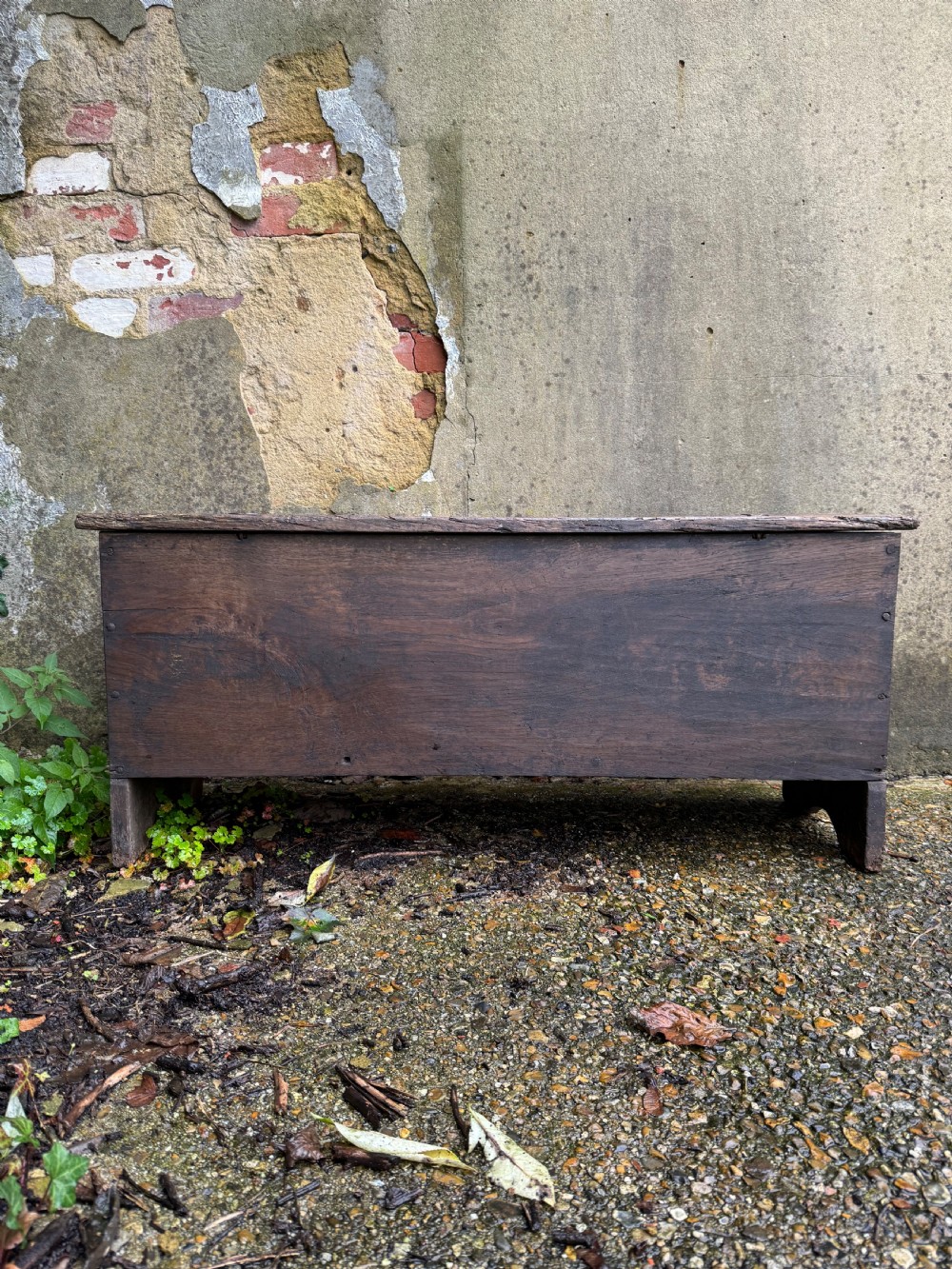 Early Oak Plank Coffer  View XXI