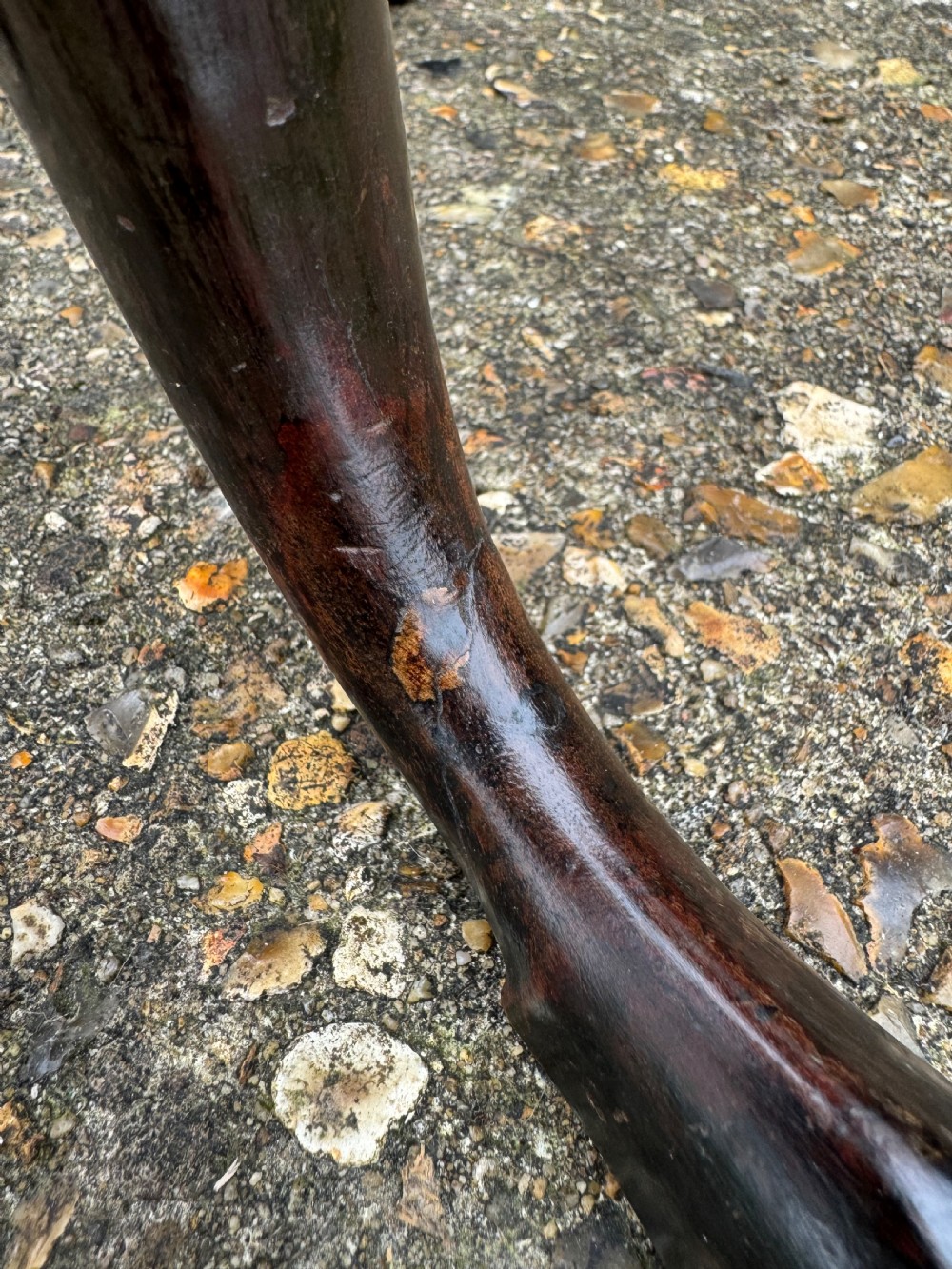 Georgian Tripod Table View XXII