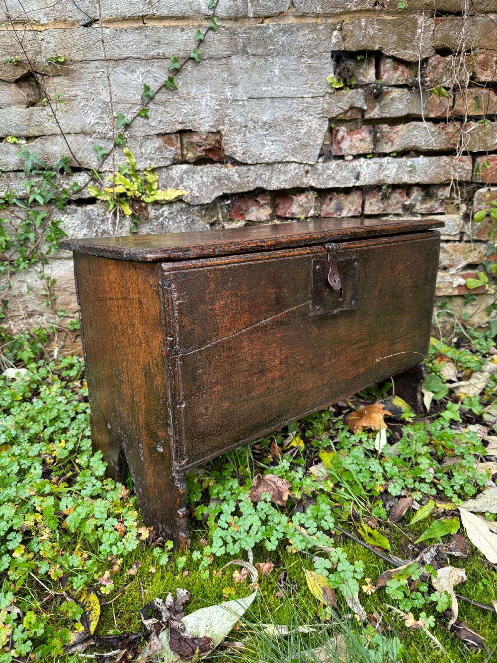 Early Oak Child’s Coffer View III