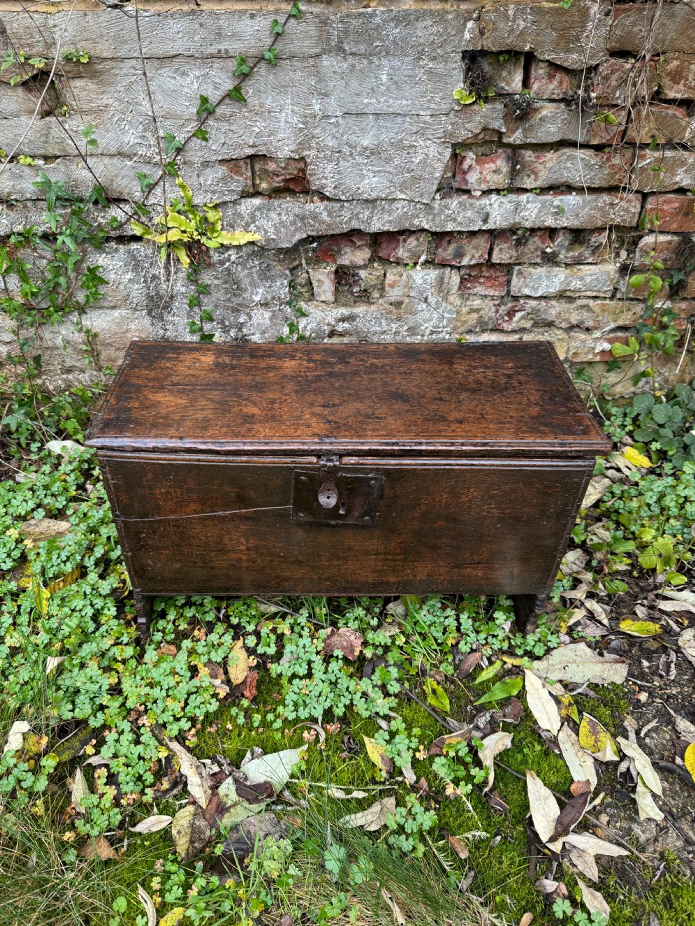 Early Oak Child’s Coffer View IV