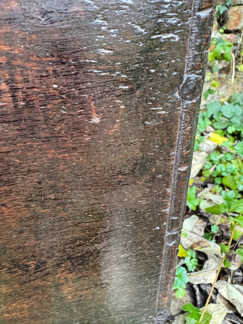 Early Oak Child’s Coffer View VII