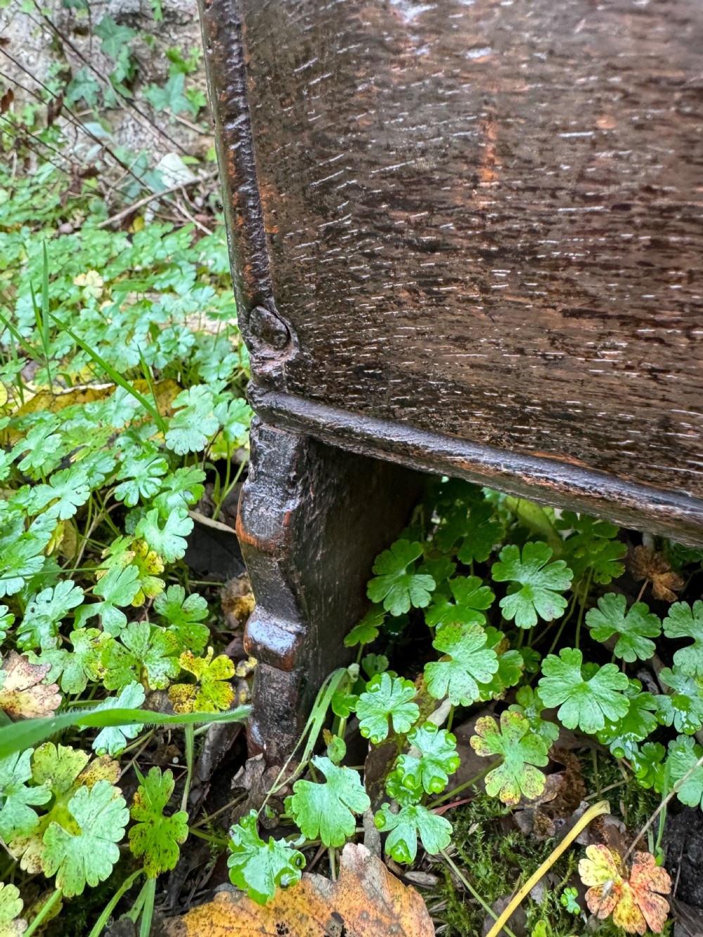 Early Oak Child’s Coffer View VIII