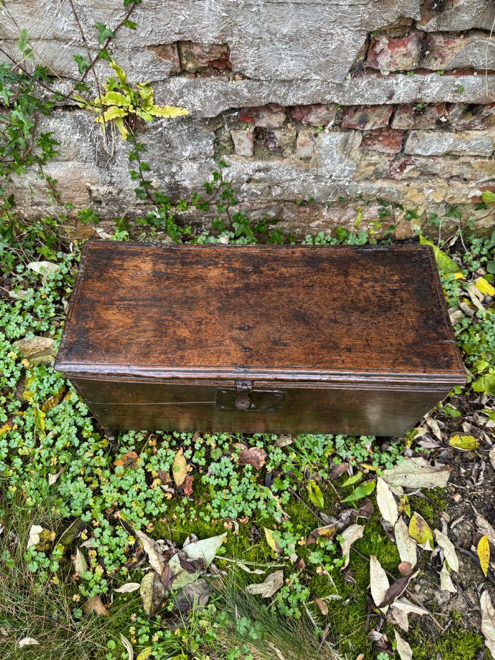 Early Oak Child’s Coffer View IX