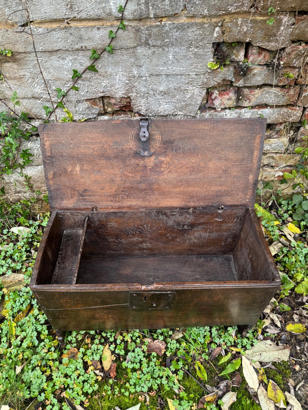 Early Oak Child’s Coffer View XI