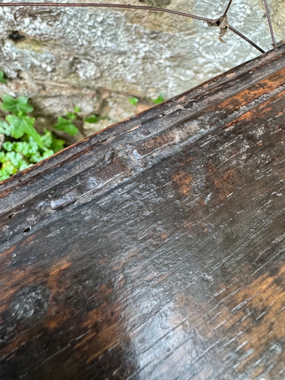 Early Oak Child’s Coffer View XV