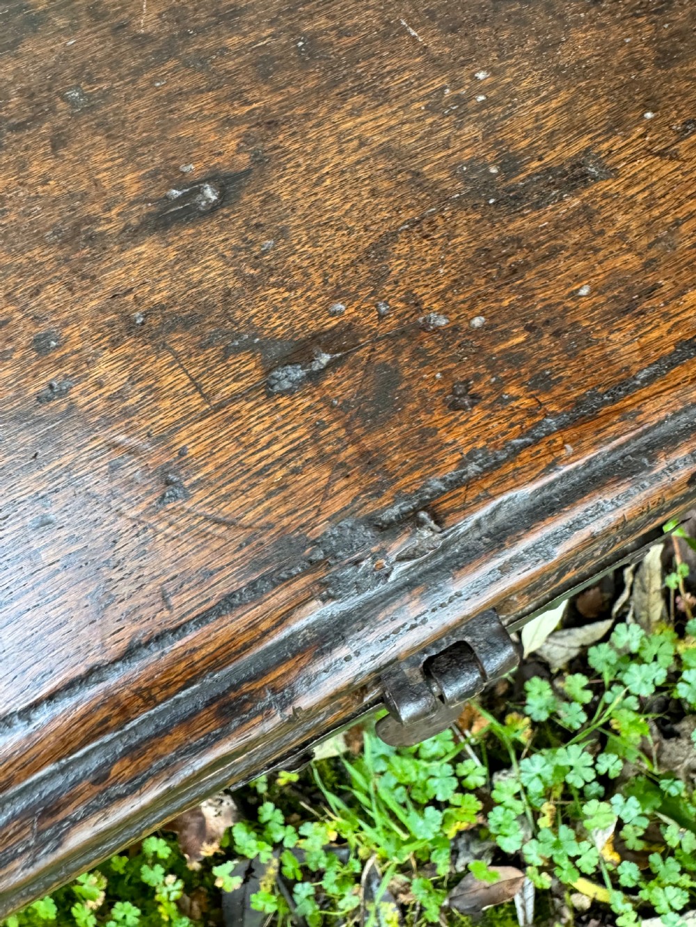 Early Oak Child’s Coffer View XVI