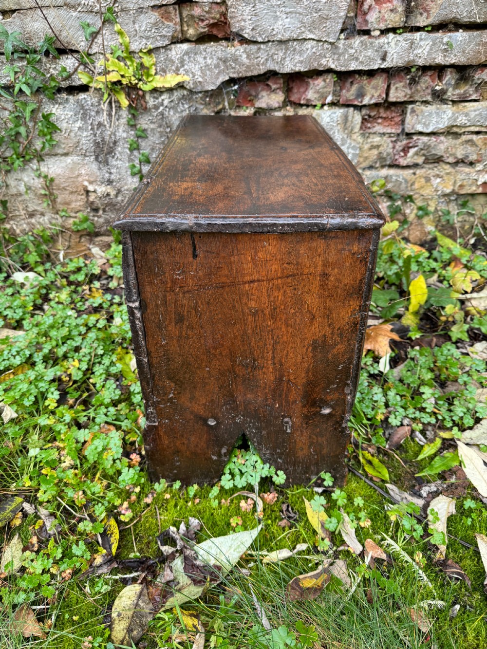 Early Oak Child’s Coffer View XVIII