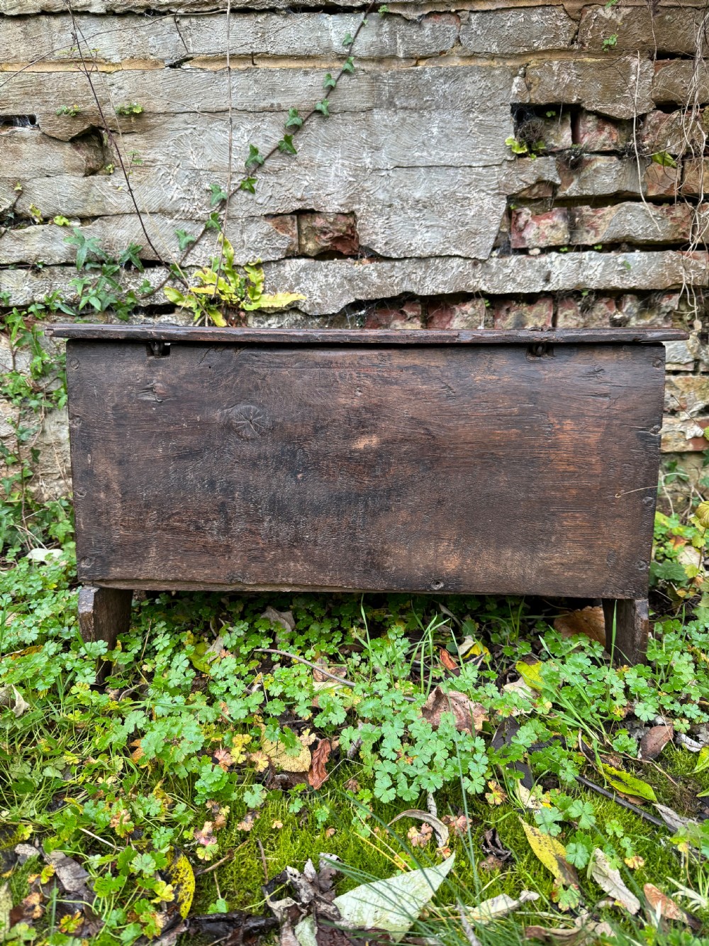 Early Oak Child’s Coffer View XIX